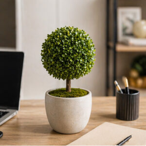 Mini Topiary Desk Plant